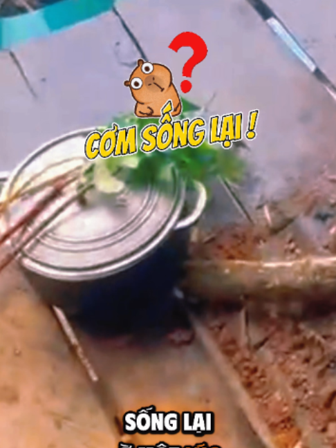 @Gió Kon Tum
