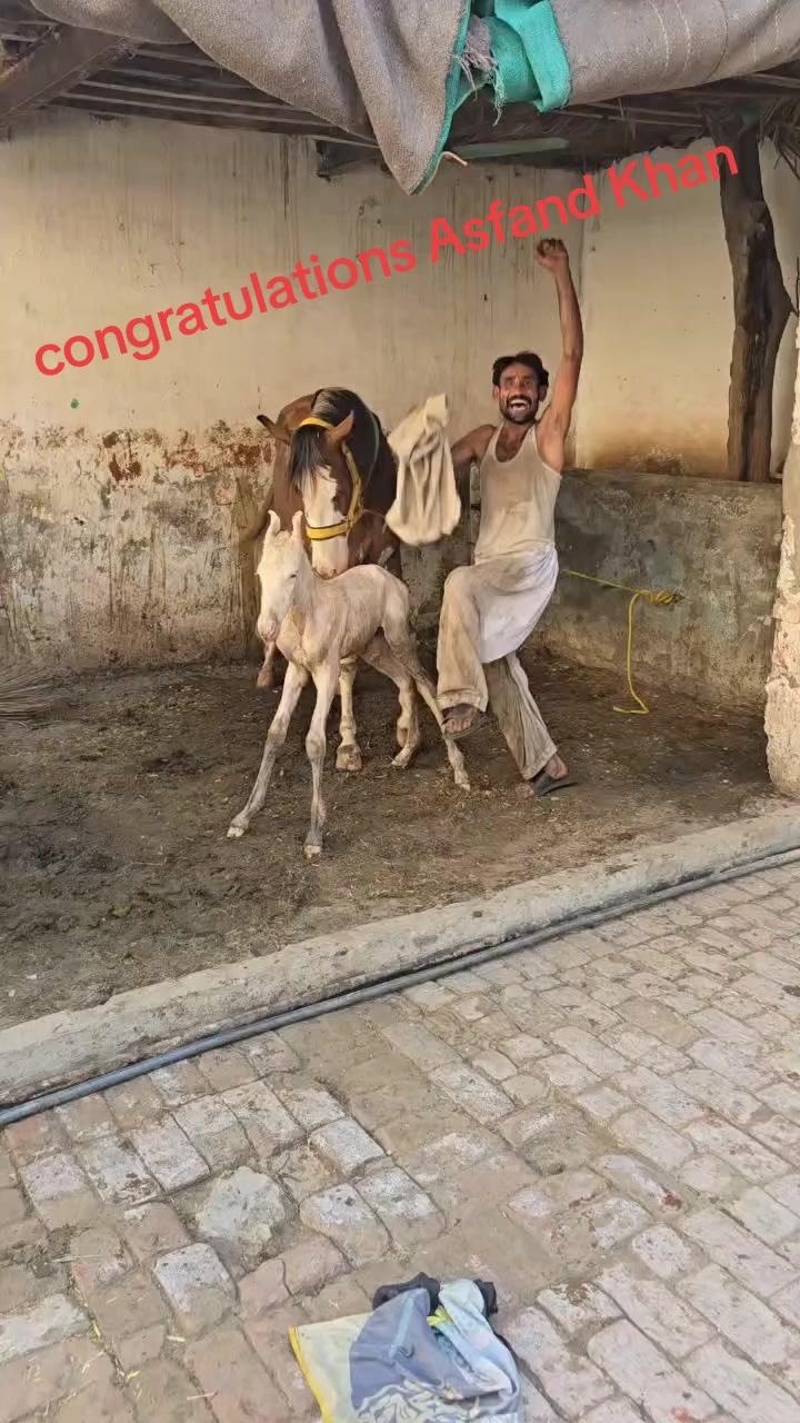 @Ghazanfar khan Baloch