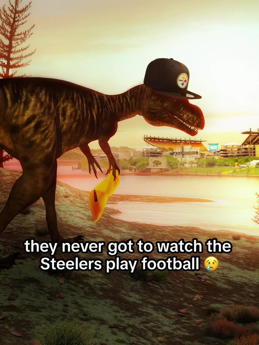 @Pittsburgh Steelers
