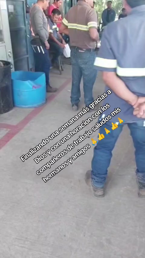 @Evercocyat
