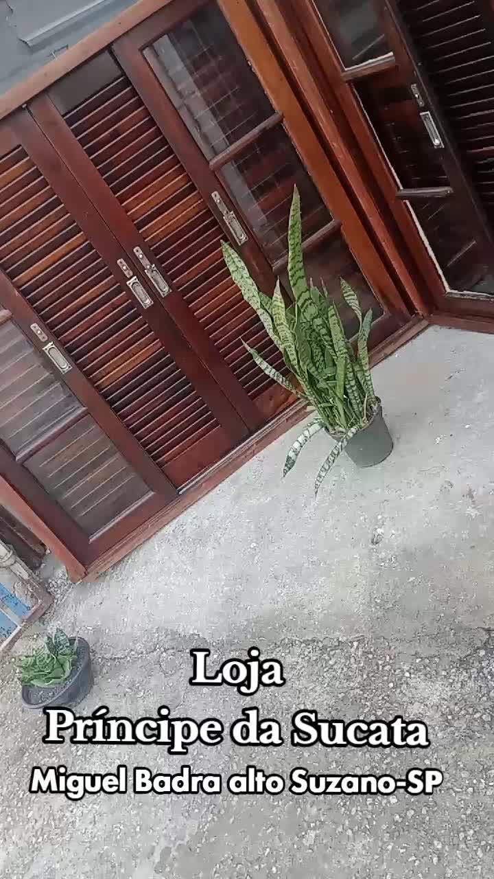 @Pr&iacute;ncipe da Sucata