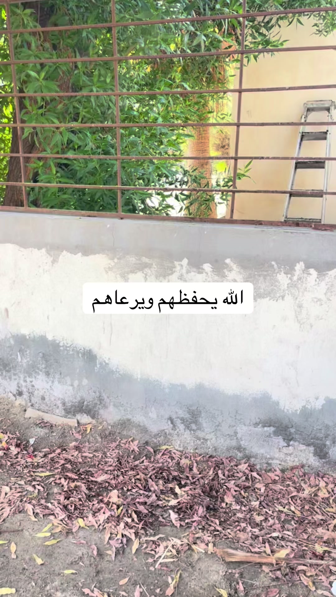 @ashkaltbiah