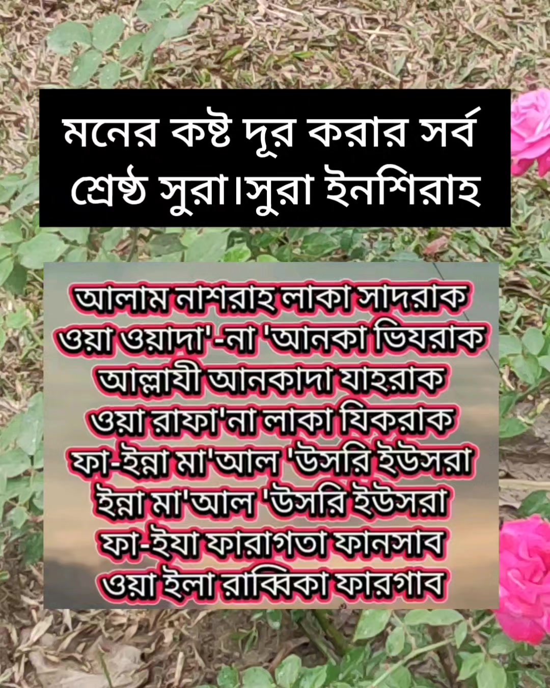 @cuisine_house