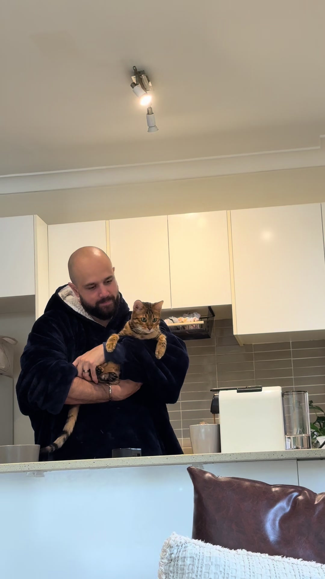 @mitmitcats