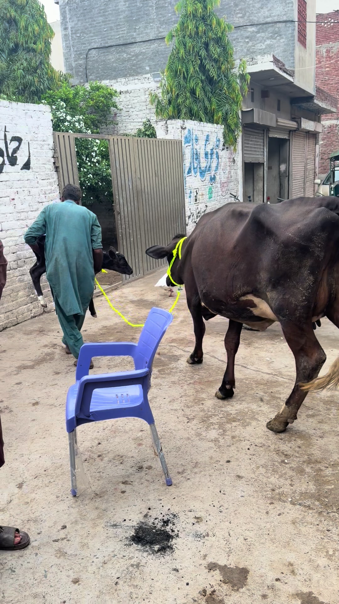 @ڈیرہ سیٹھ حسن شیخوپورہ