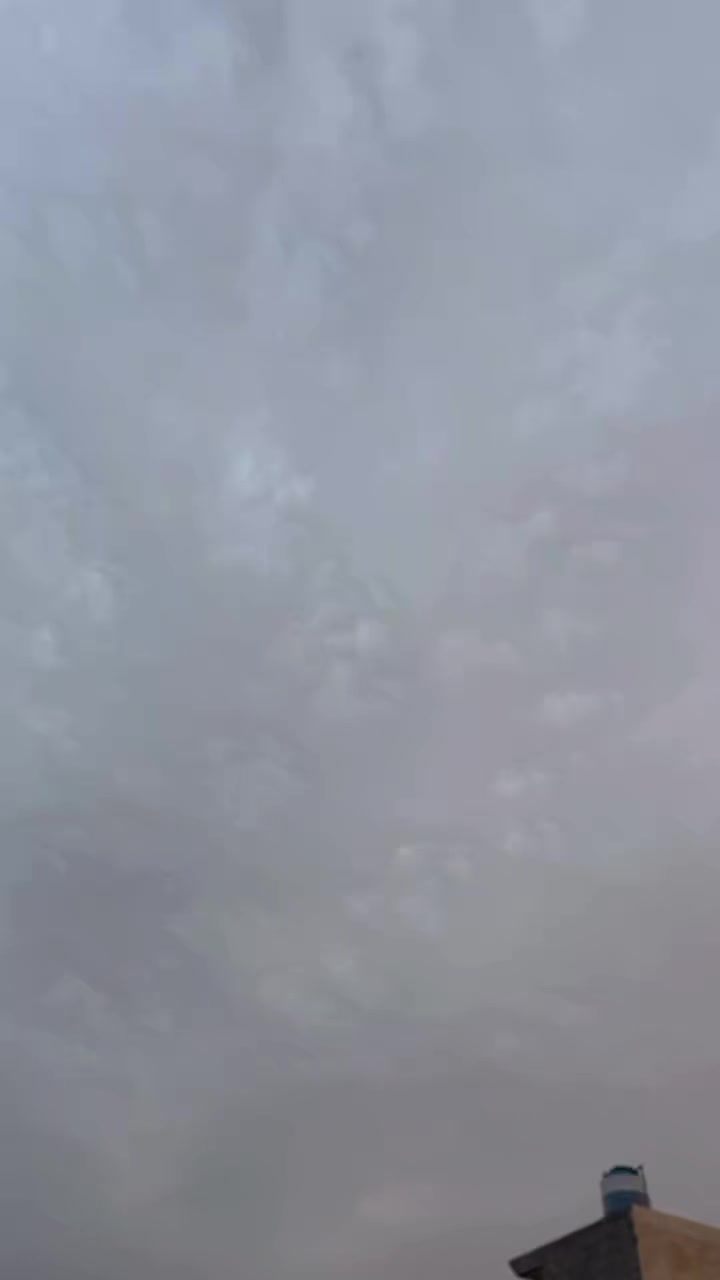 @༄SH᭄✿sʜᴇᴅᴜ ᴍᴀʟɪᴋ࿐