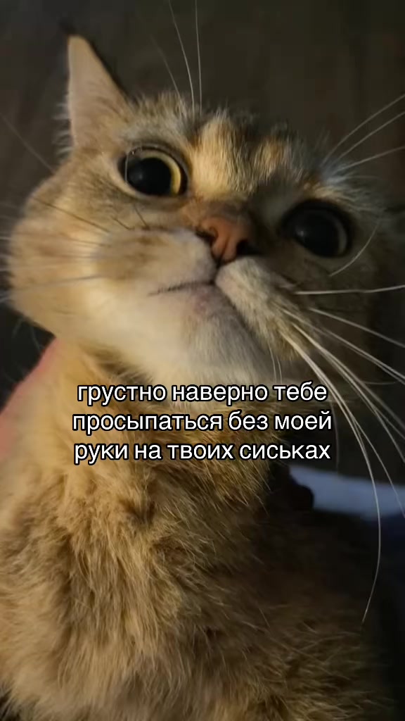 @KotLeopold193RUS