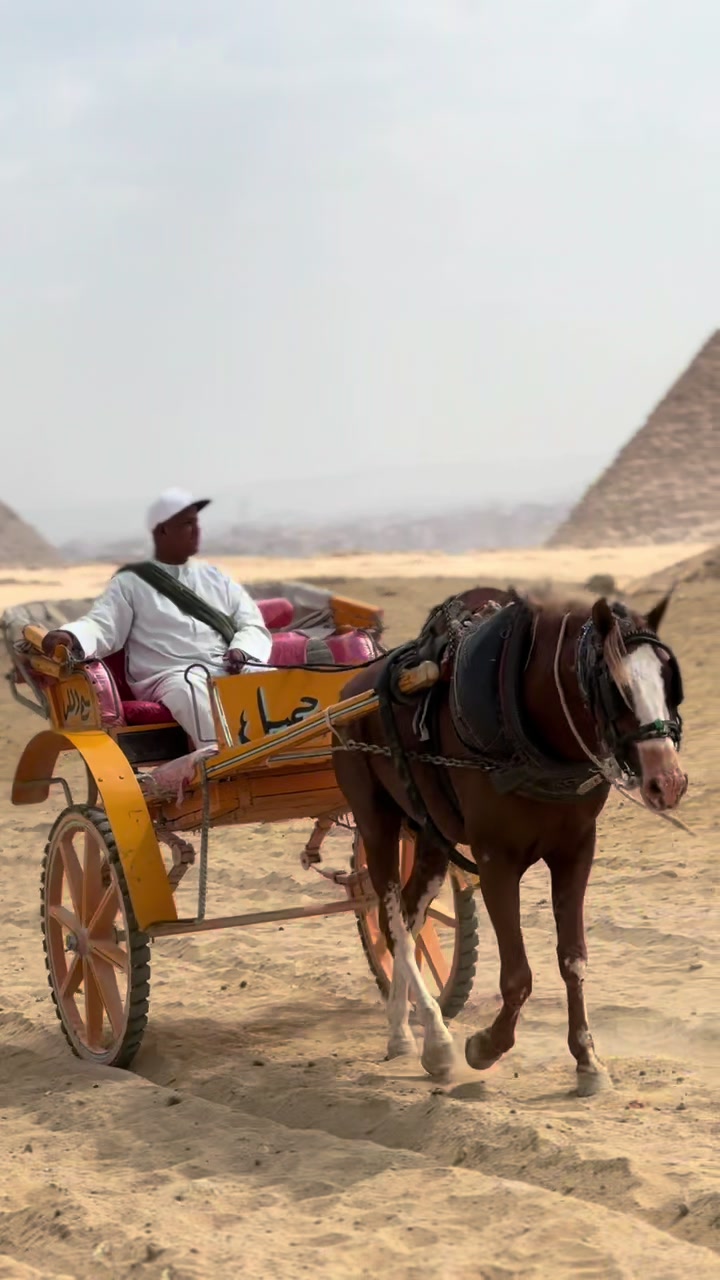 @Zana Production