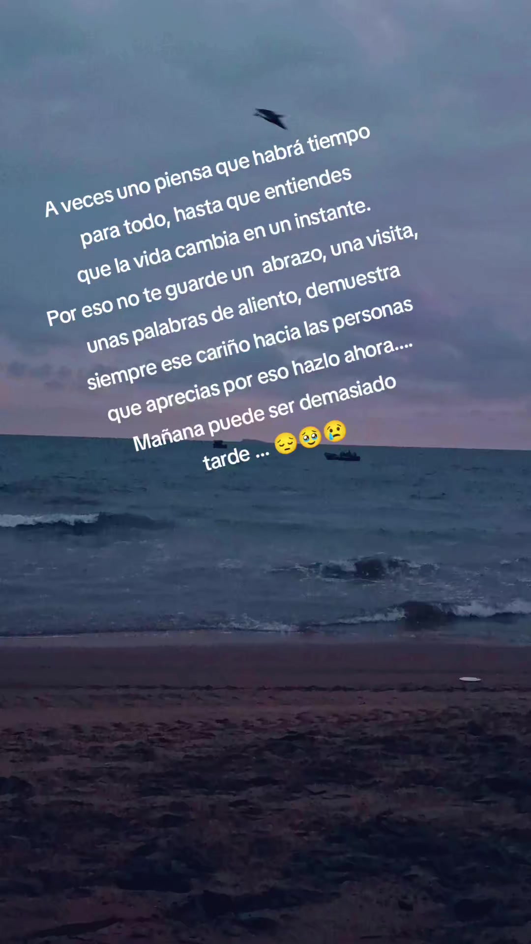 @Karen Muñoz