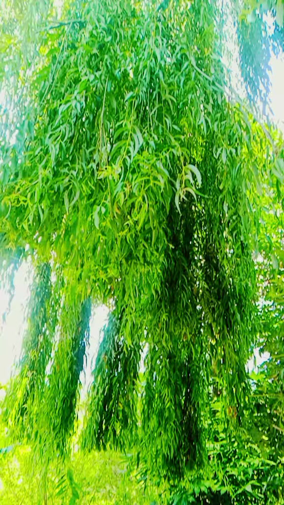 @😉ღ_𝙄𝙩𝙭_𝙉𝙊𝙢𝙞_ღ😎