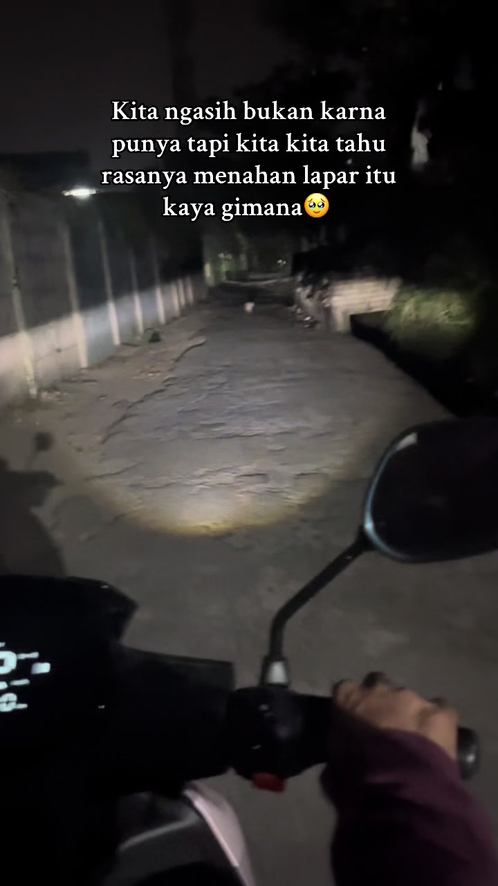 @Nita dan para kucing🐾