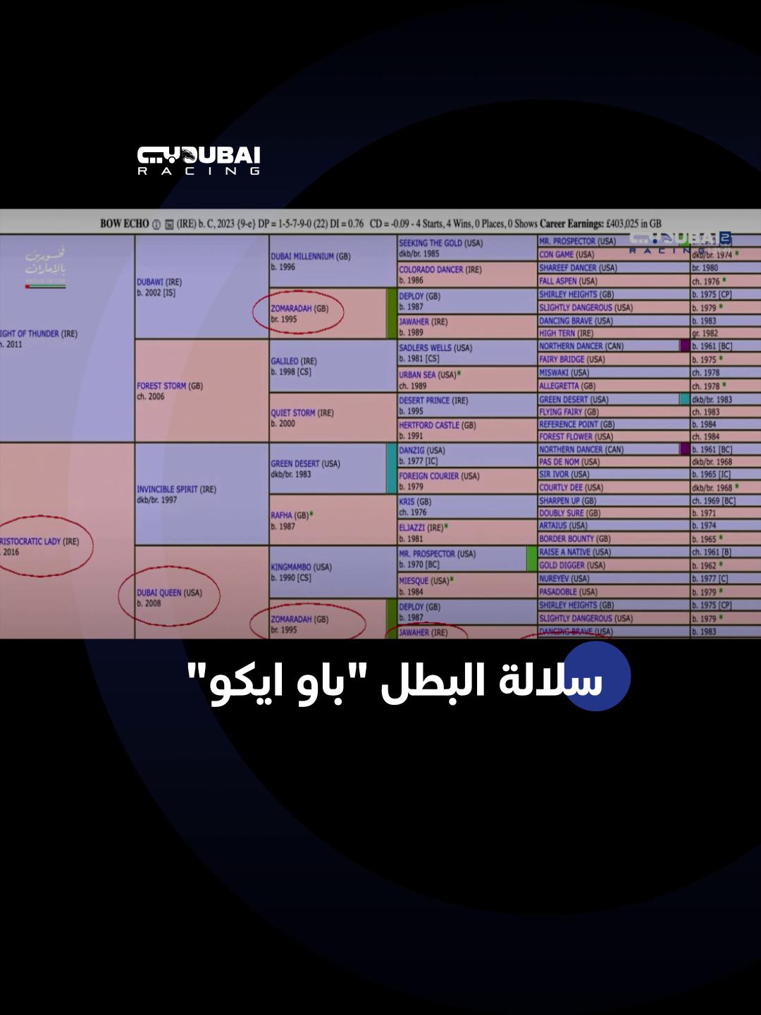 @Dubai Racing TV