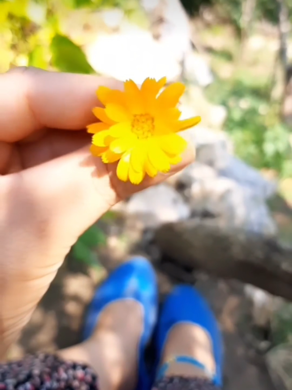 @KöylüGüzeli01