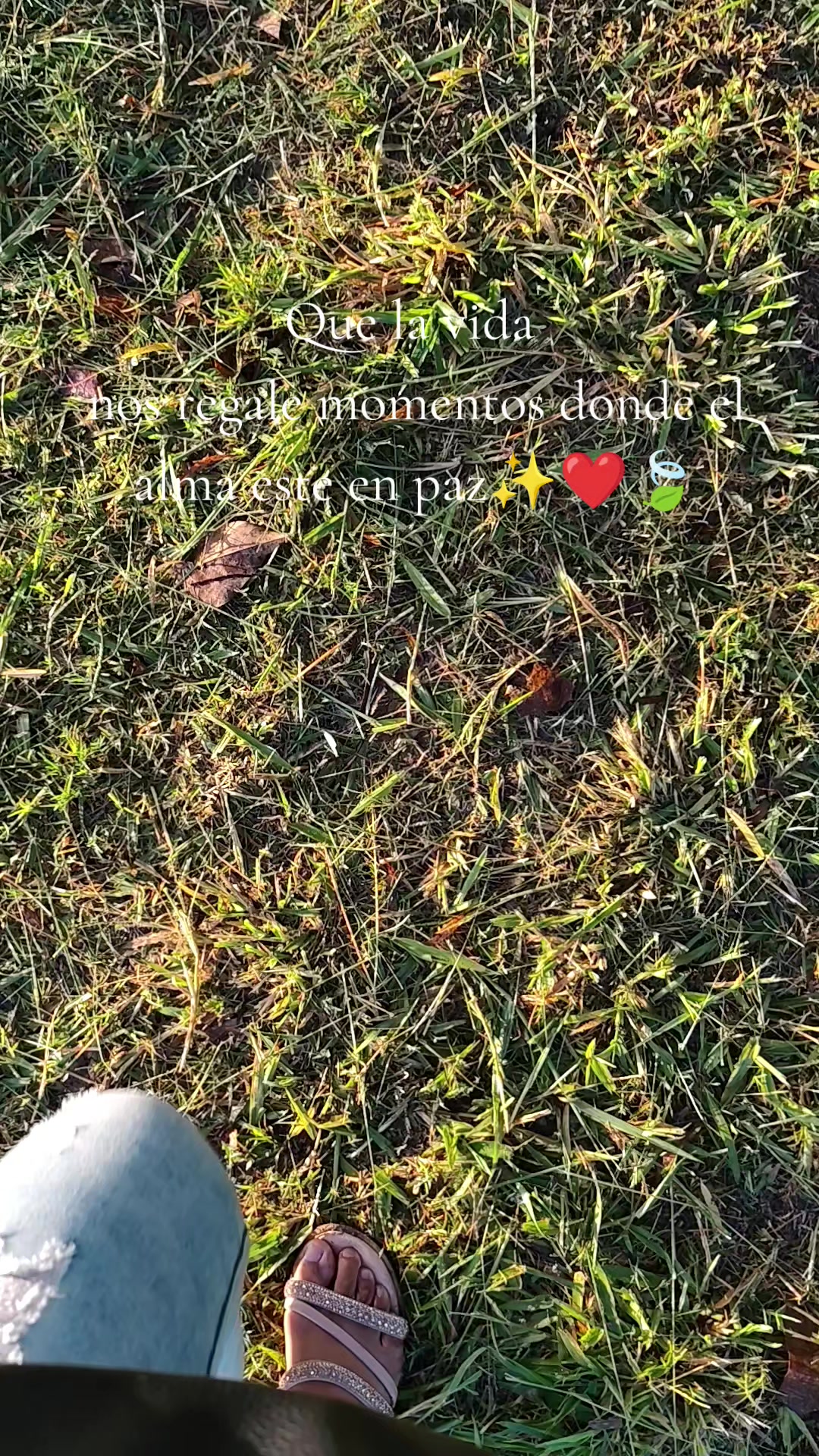 @Najhe Flores