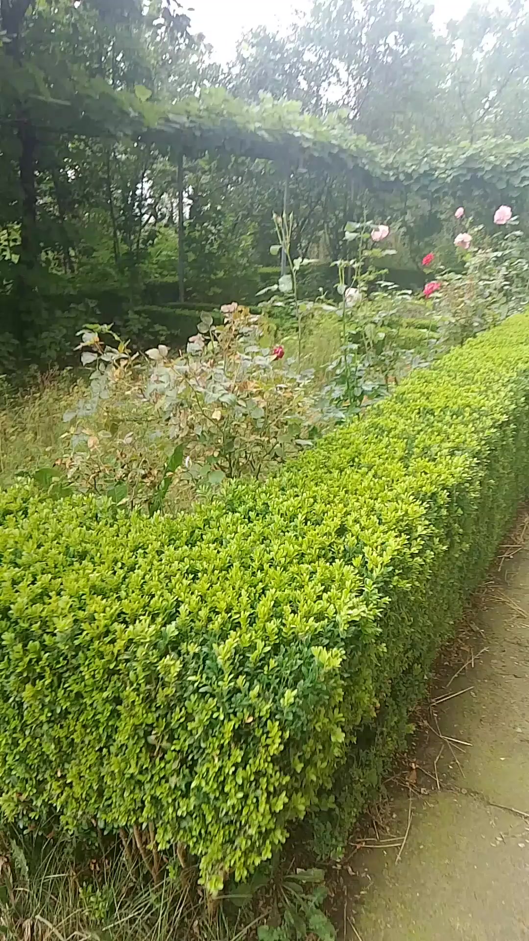 @7777777