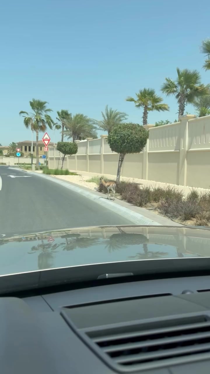 @SHK_1997