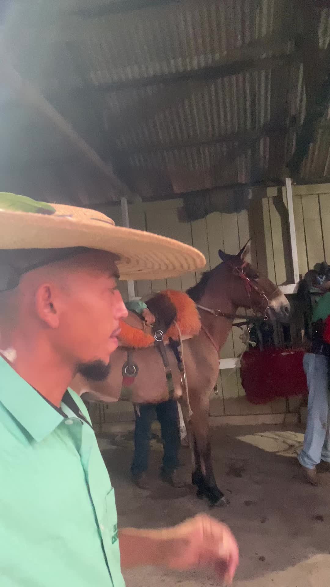 @André Souza Barros
