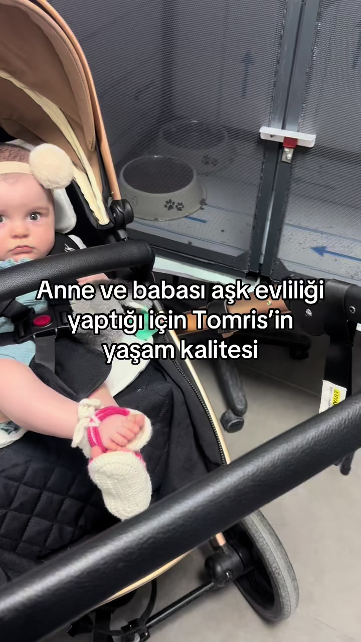 @vet.Behide