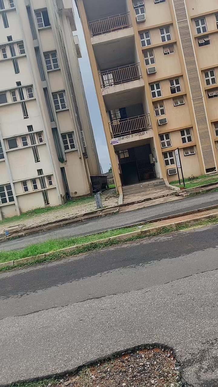 @Niphemmy🦋♥️