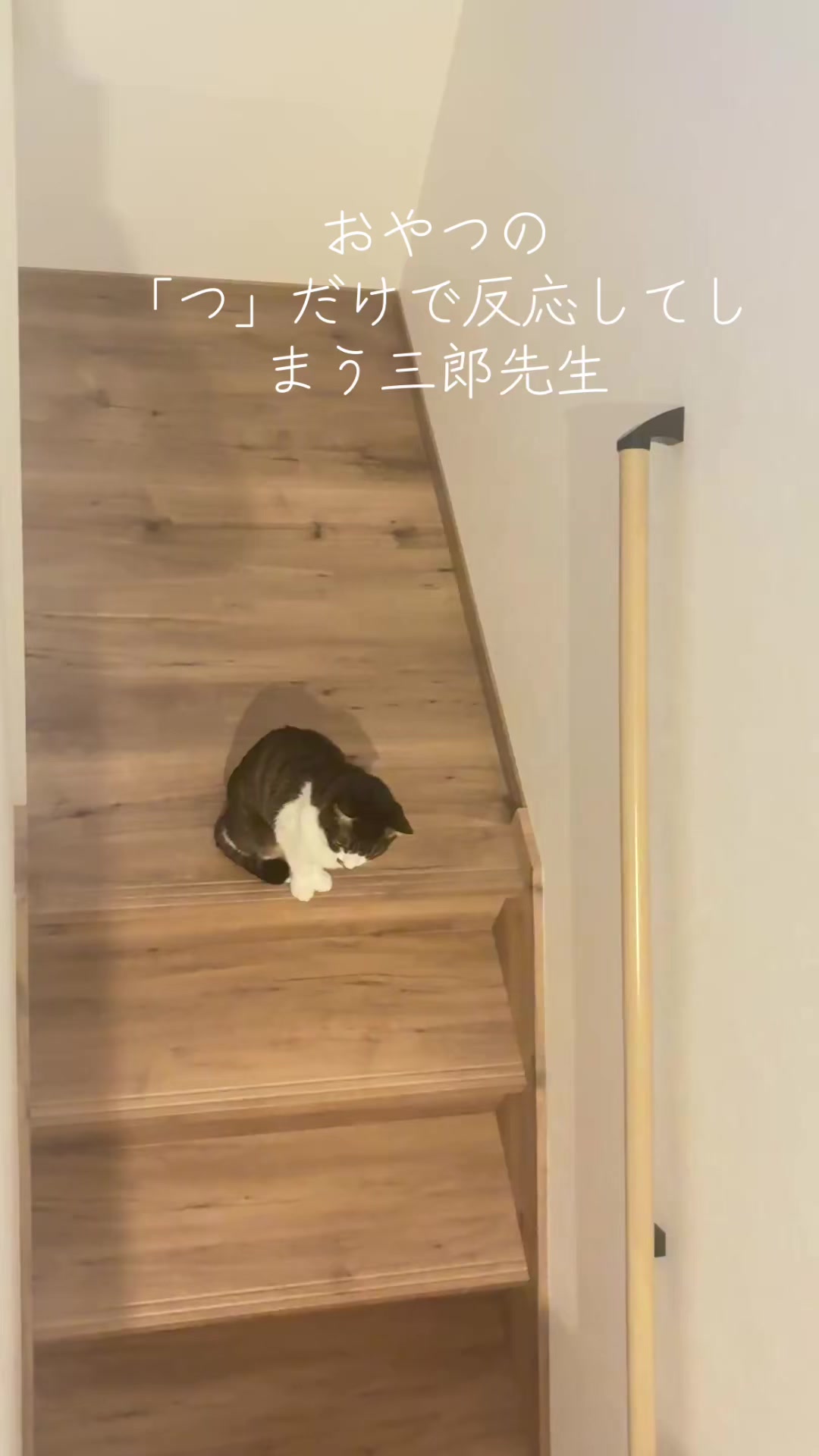 @さまむ〜
