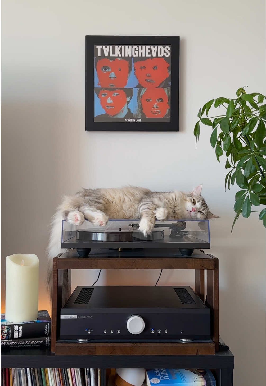 @Leon The Vinyl Cat