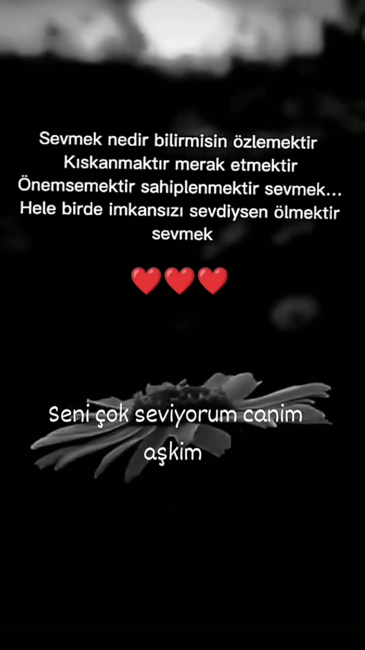 @Gül 34_28_🦁♥️💛♥️🦁