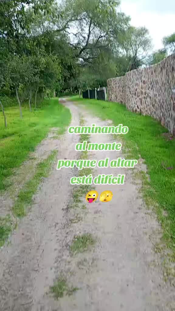 @maryvillasana433