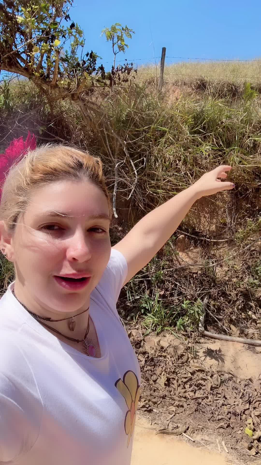 @Elvira Paulucio Vaqueira