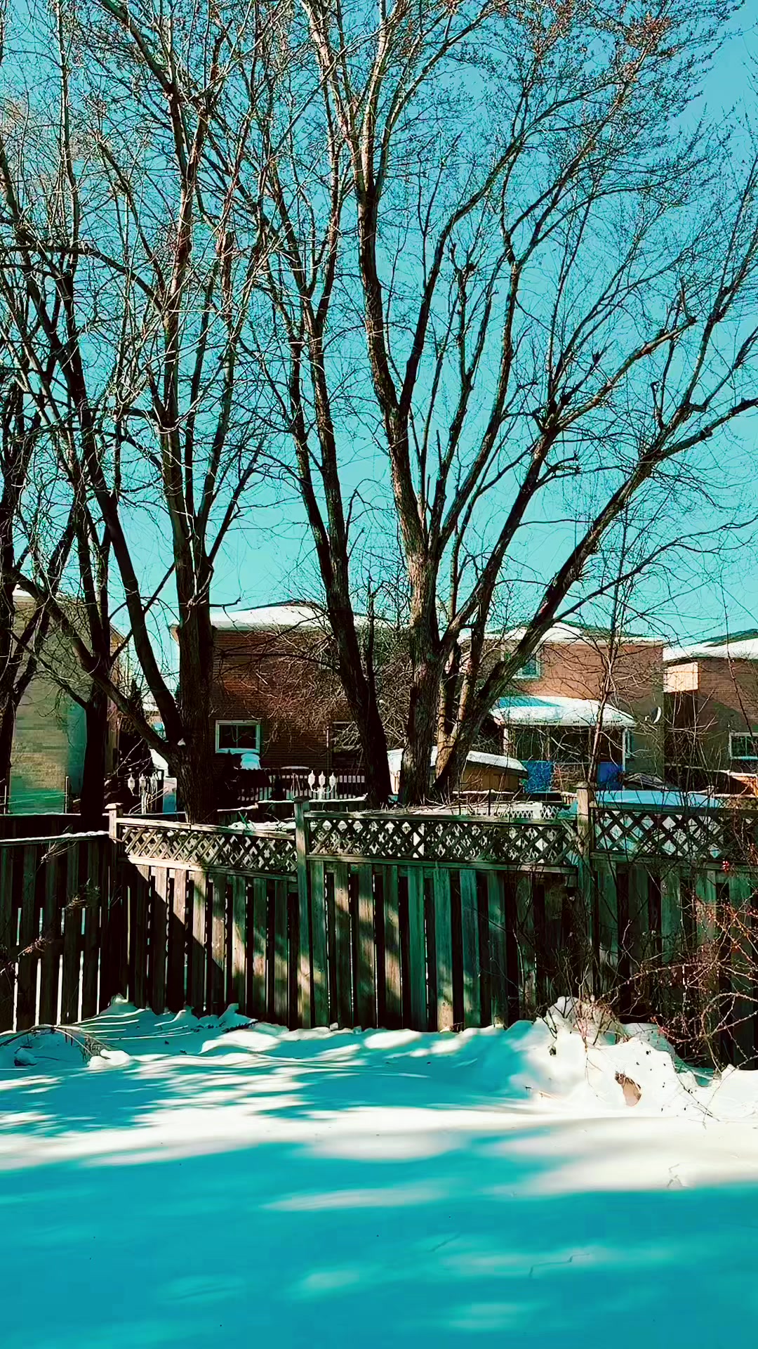 @ɴɪʀᴀ 🇨🇦