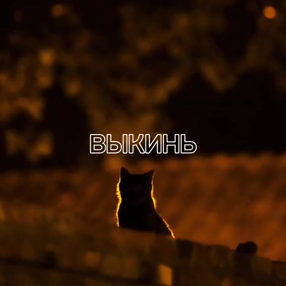 @Светлячок
