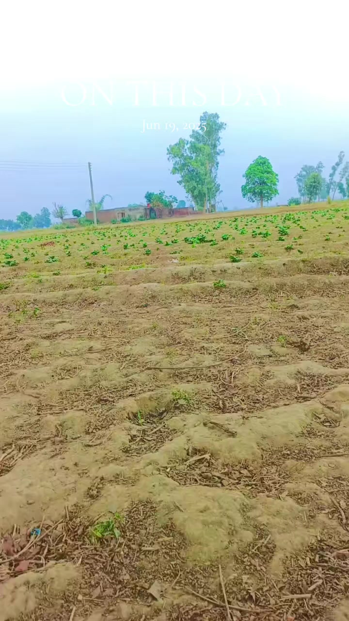 @💫 محمد نبیل ریاض🚩