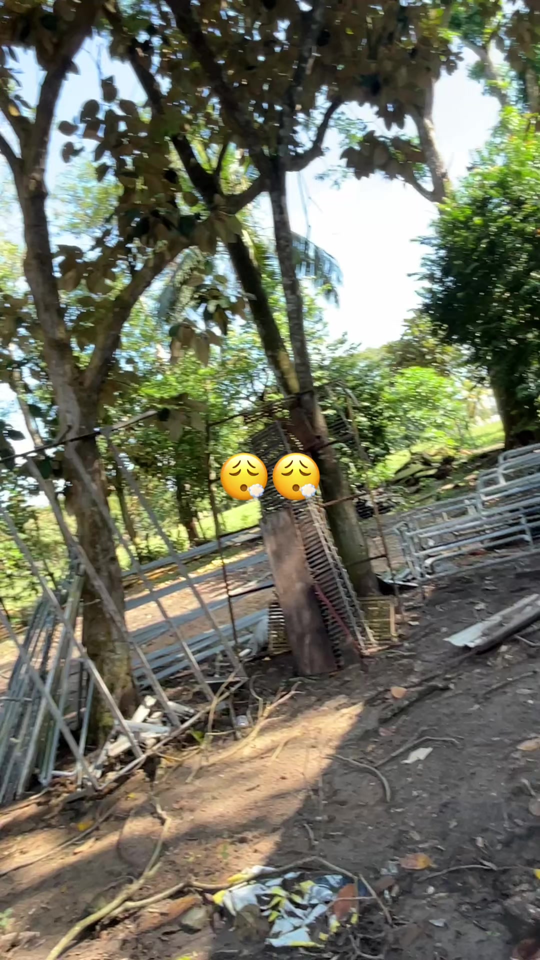@JOS&Eacute; FLORES 🔥