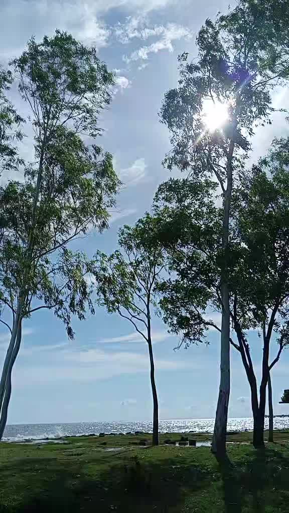 @ফুল🌸🌼