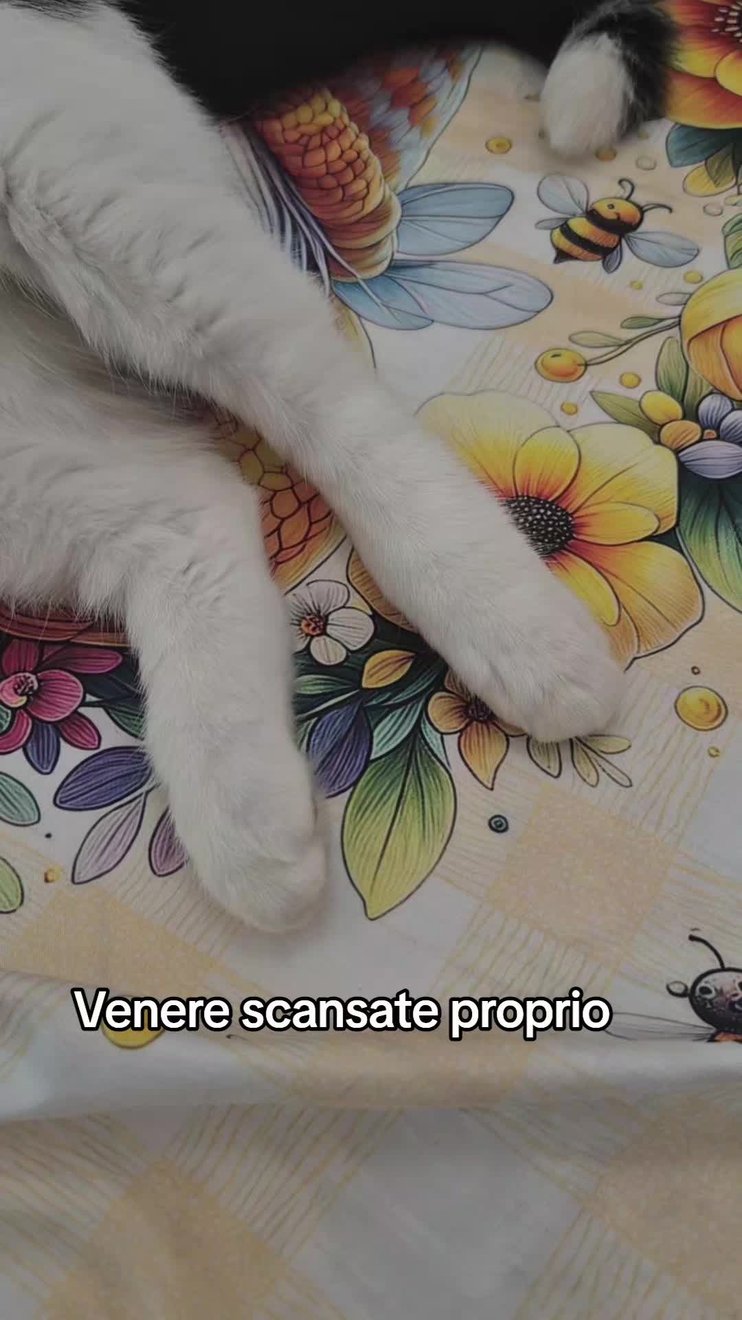 @lorenaefamily