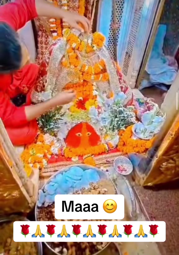 @Nisha sehgal