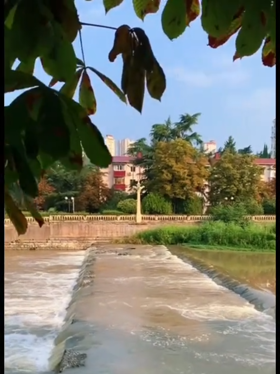 @Марина 🌹