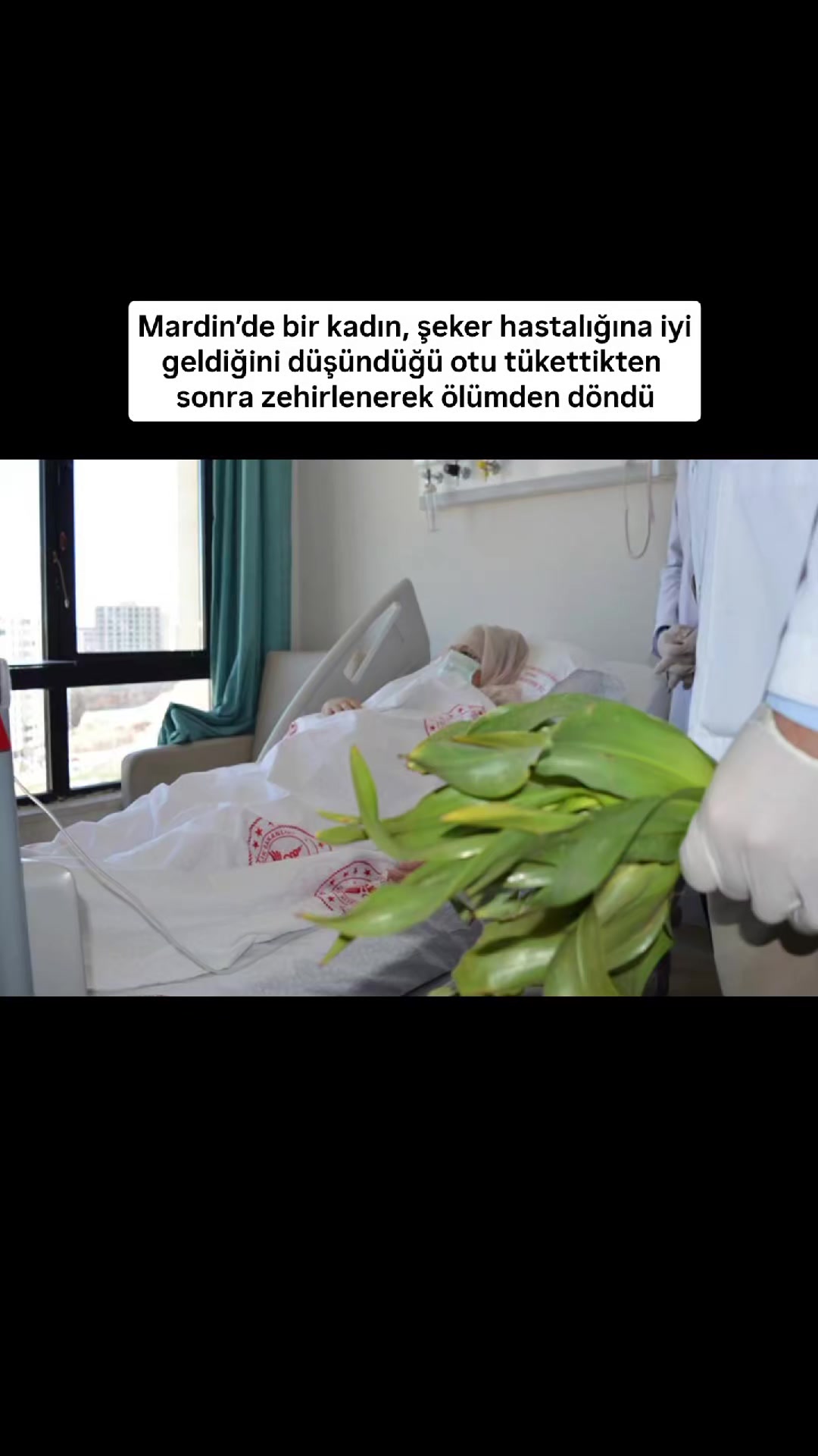 @Nusaybin Tanıtım