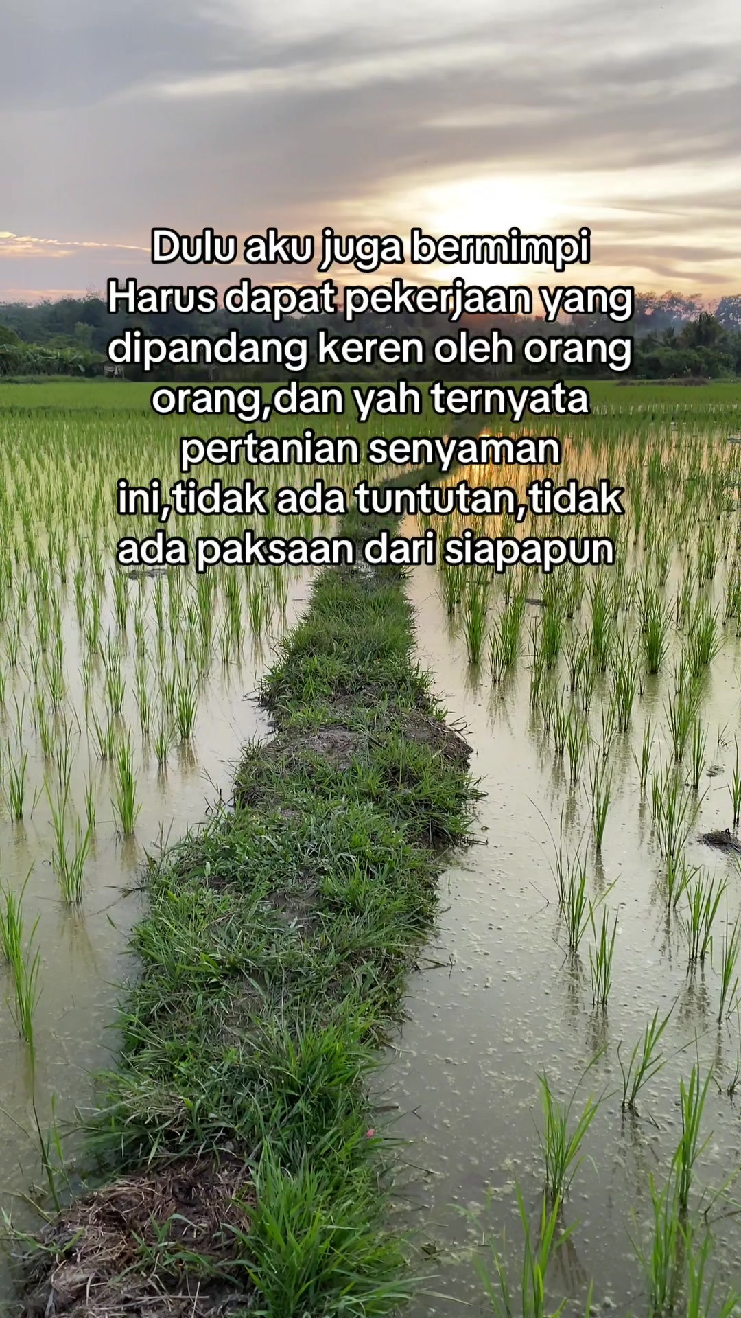@perintis. muda