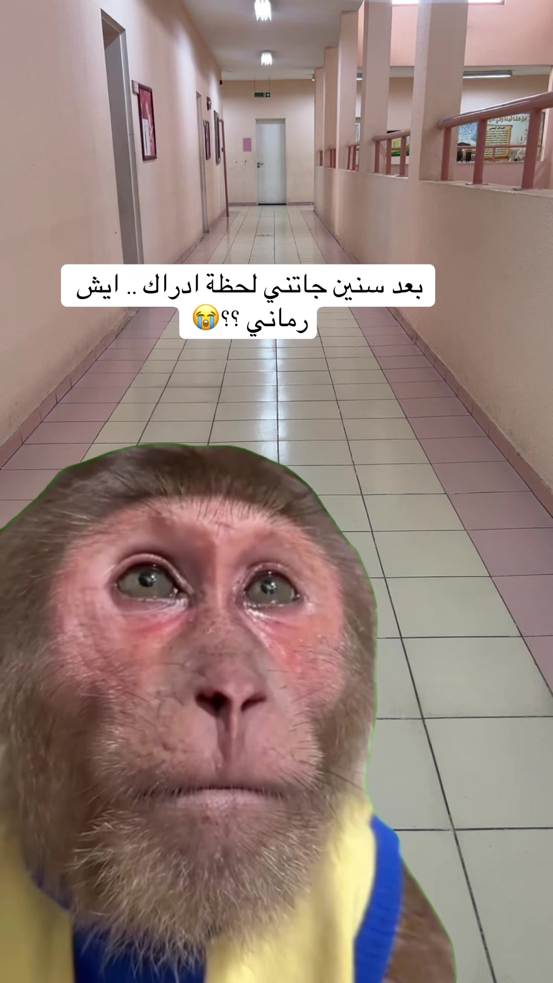 @ghadah12190