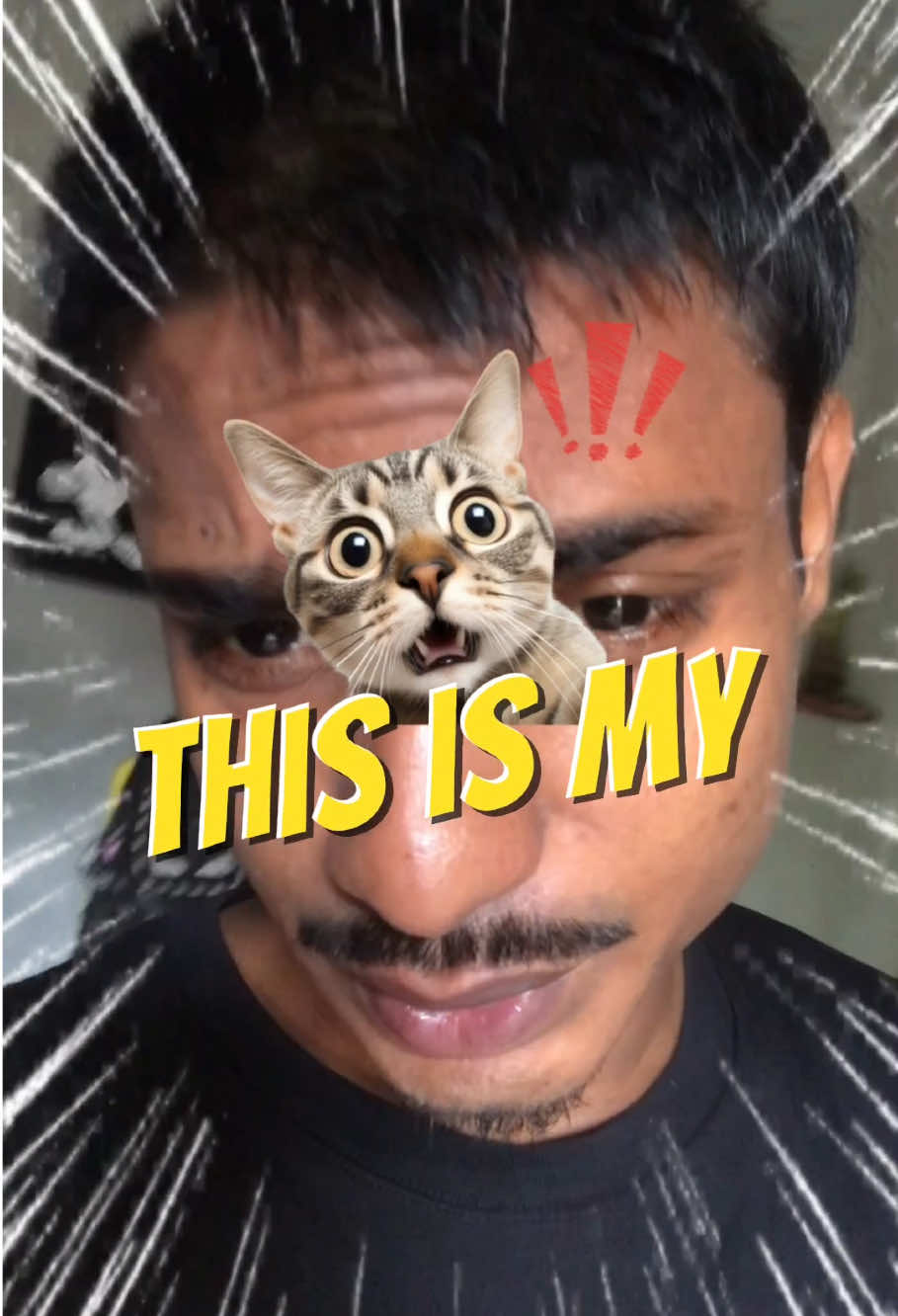 @Ankit Sharma
