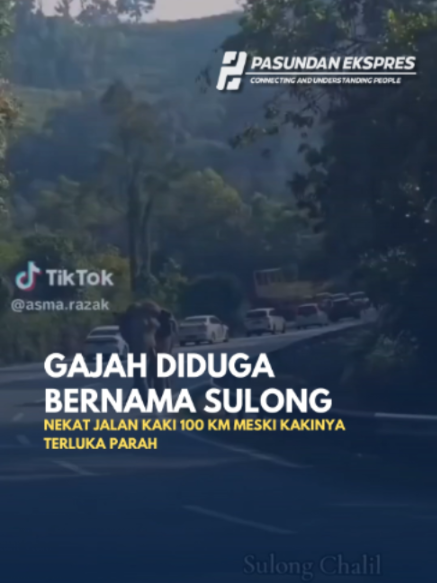 @pasundanekspres_news