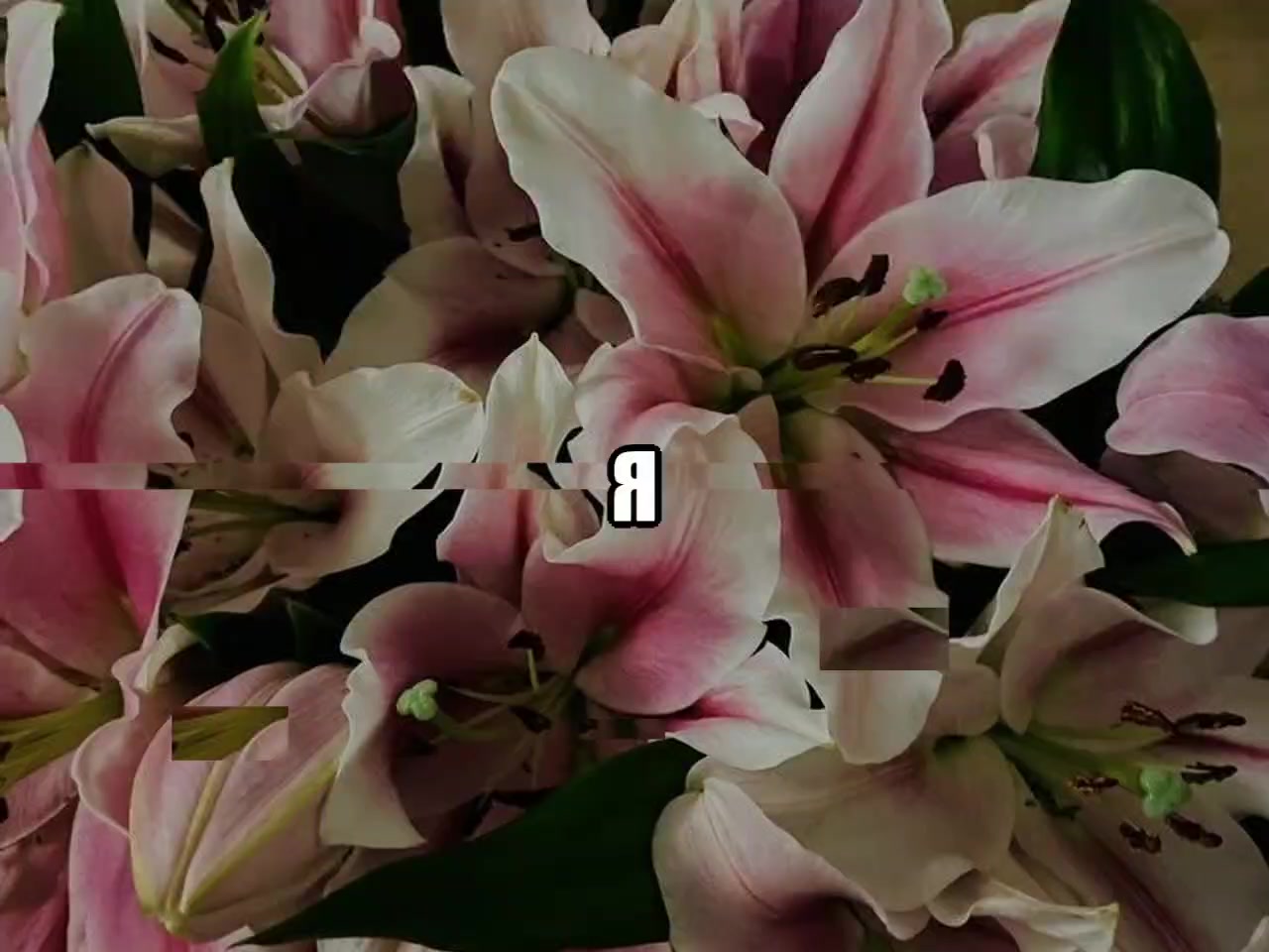 @звуки для липсингов