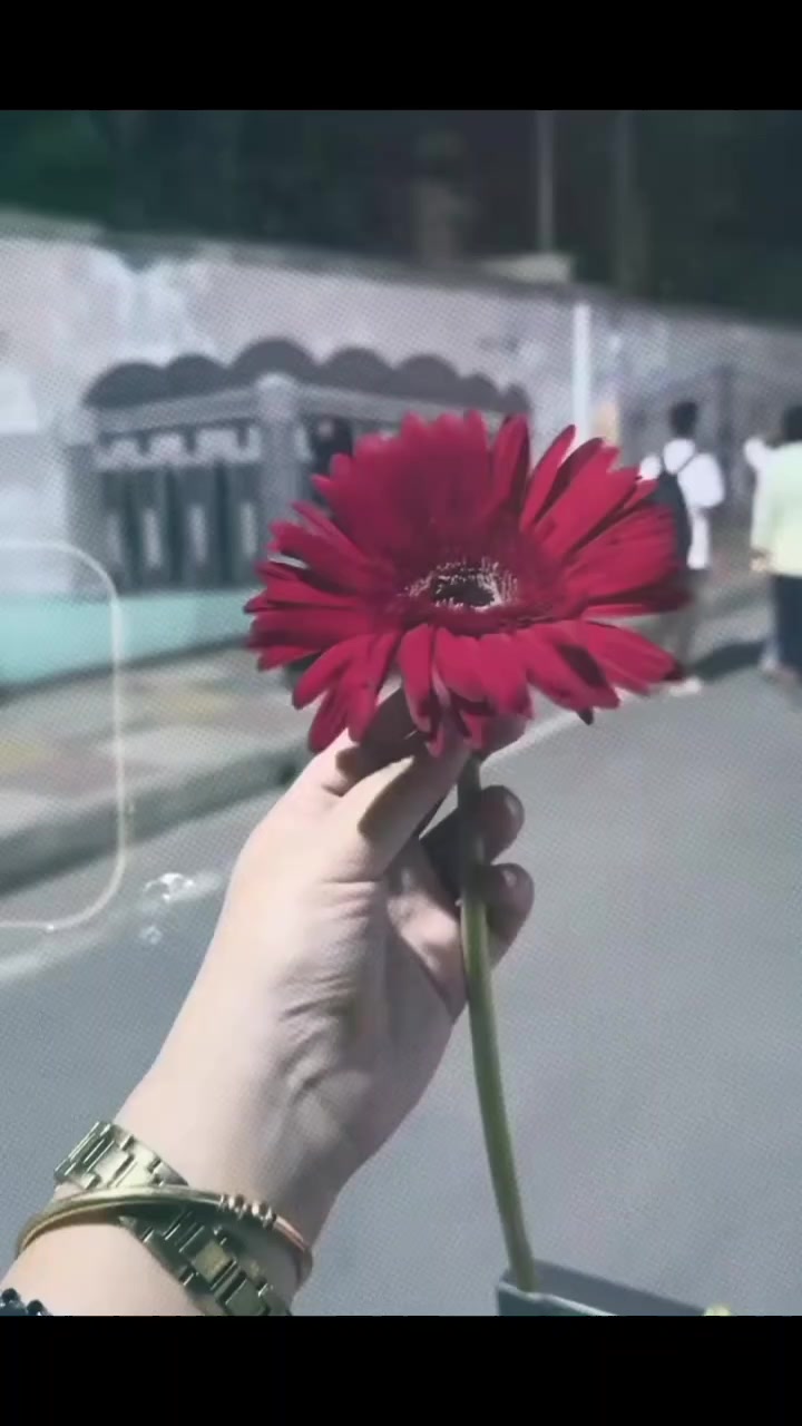 @꧁༒☬𝐌𝐢𝐫𝐳𝐚 𝐦𝐨𝐧𝐢𝐚☬༒꧂🥀