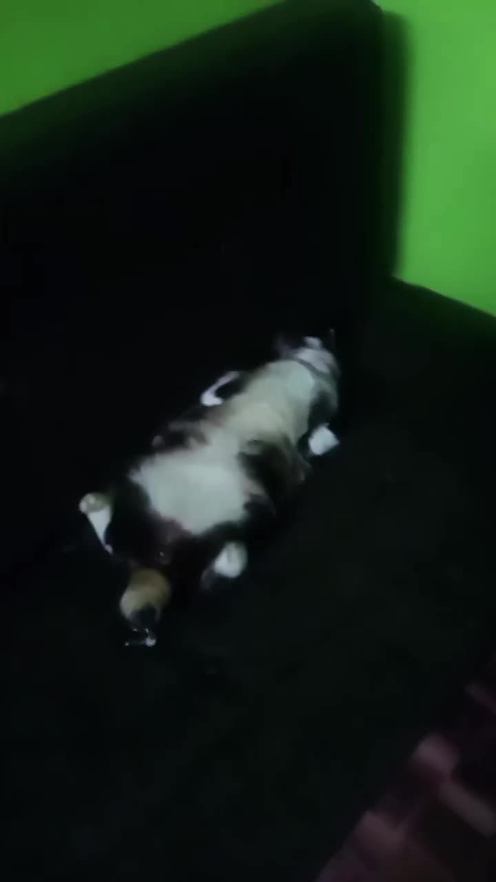 @#Abby_420_