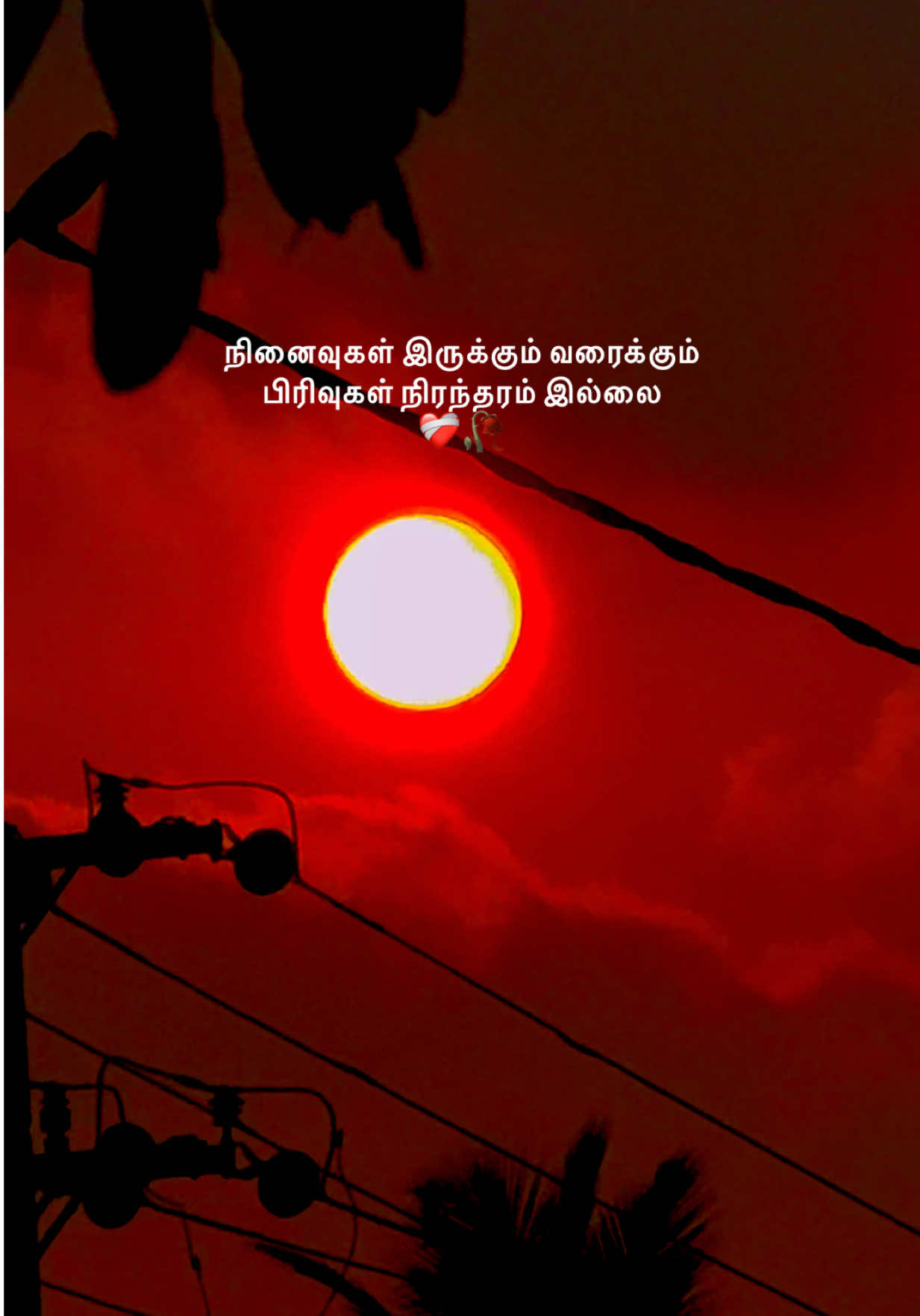@Mohilan