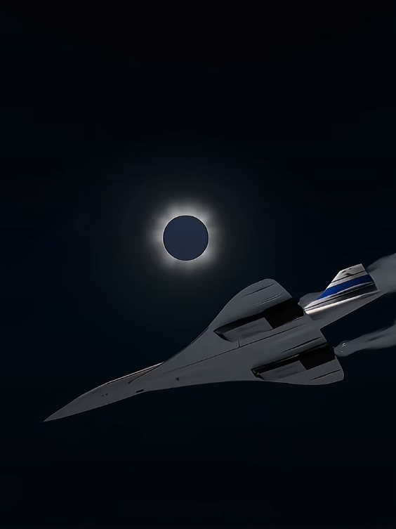 @𝐈𝐍𝐆𝐑𝐈𝐃 𝐁𝐄𝐑𝐆𝐌𝐀𝐍✈