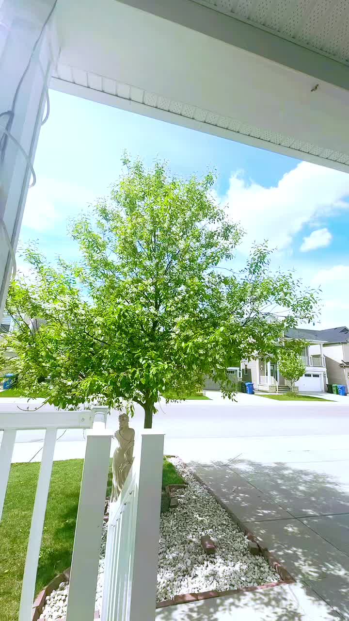 @KiranGill
