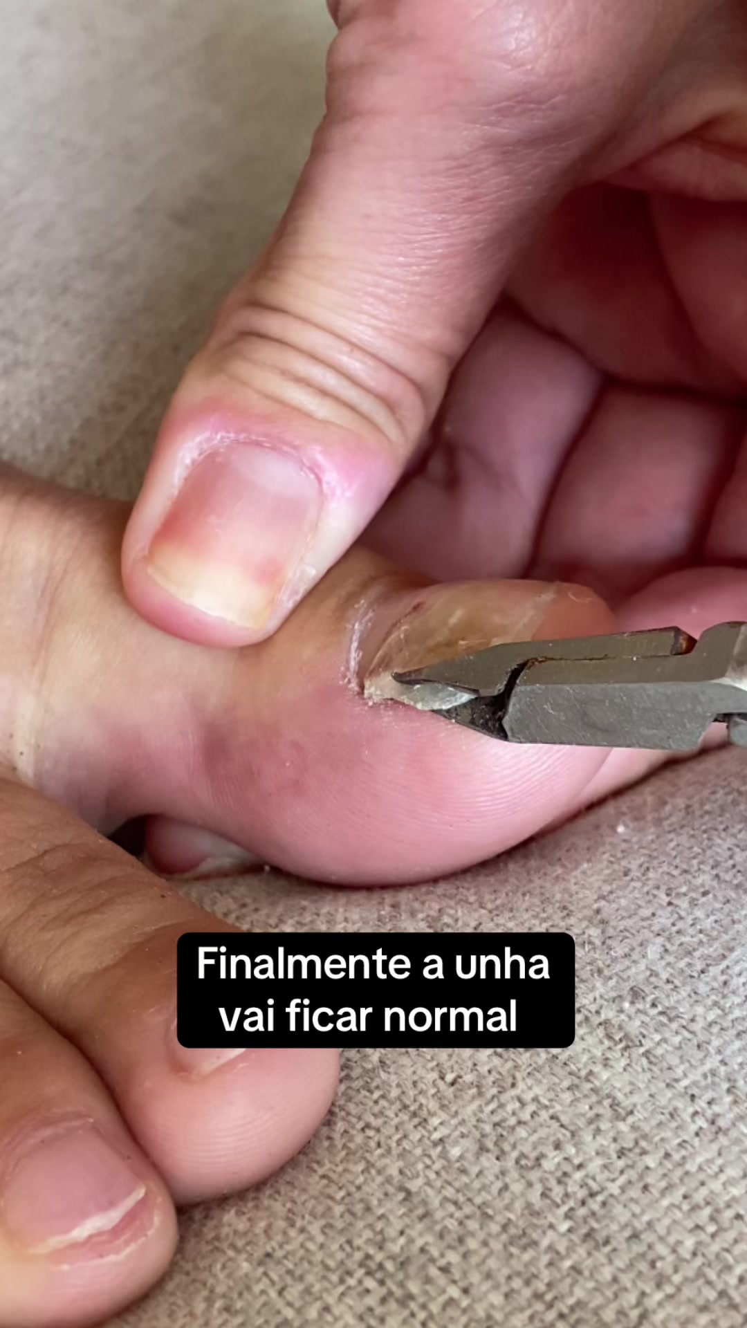 @Carolinaindica