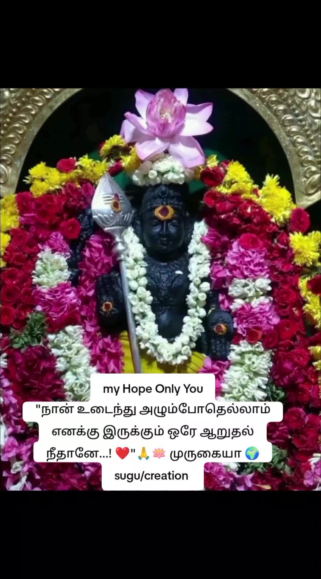 @💙suguna🧡
