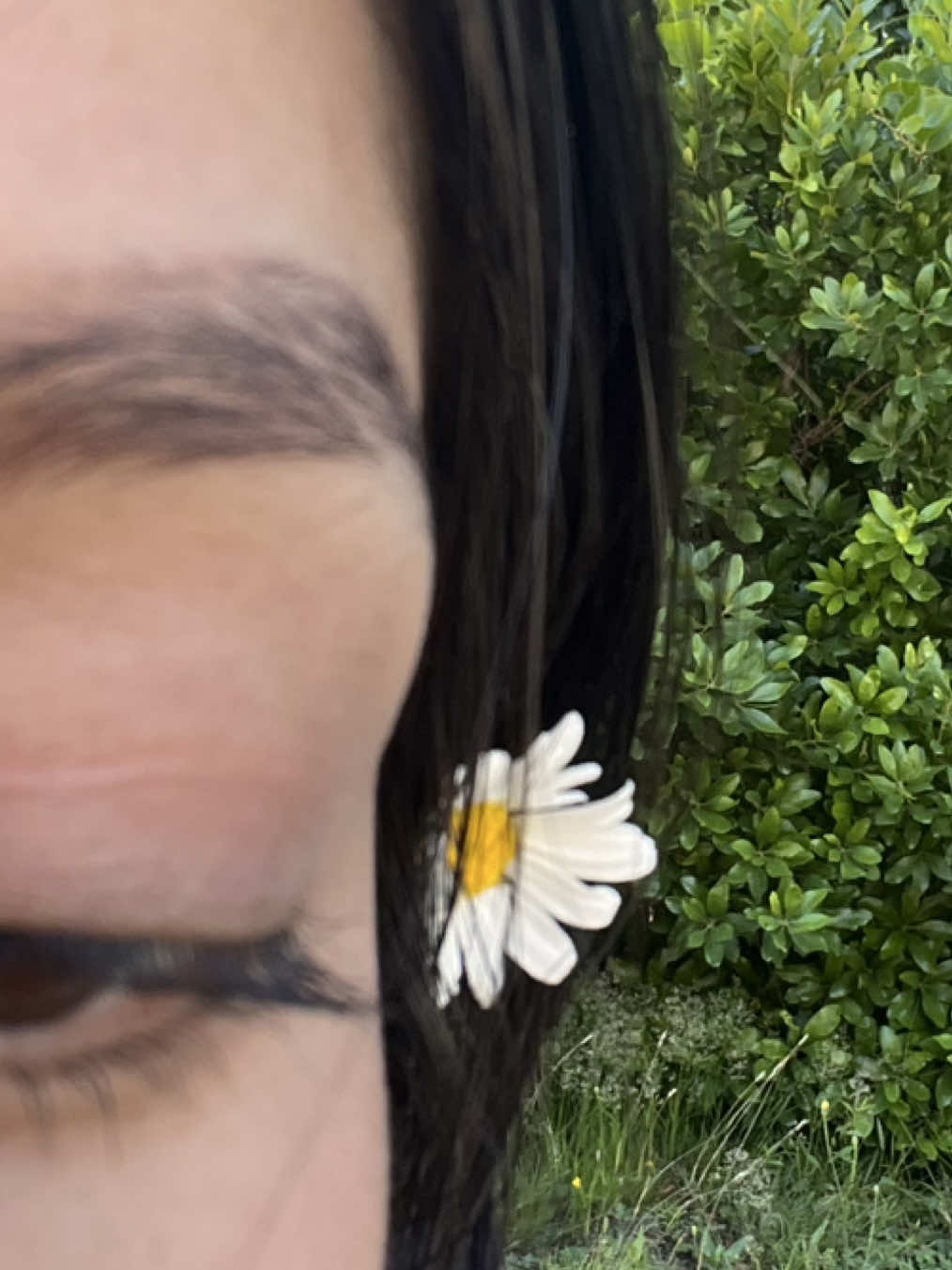 @Dania Anahí 🌸